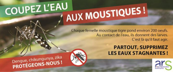 Prévention moustique tigre