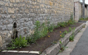 entretien trottoir