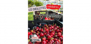 cueillettes solidaires.