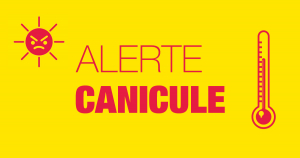 Canicule