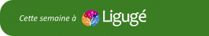 Agenda semaine