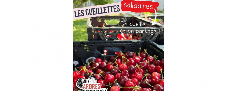 cueillettes solidaires.