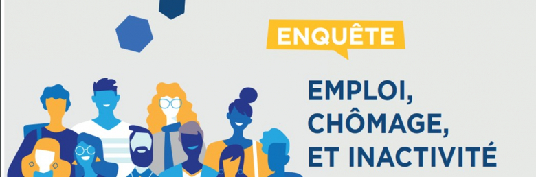 enquete insee