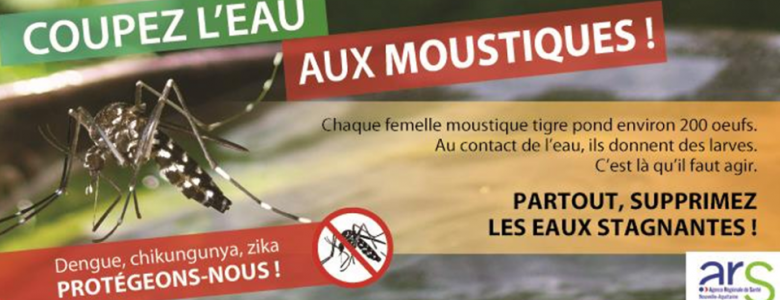 Prévention moustique tigre