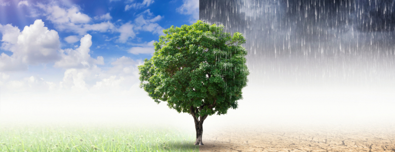 climat