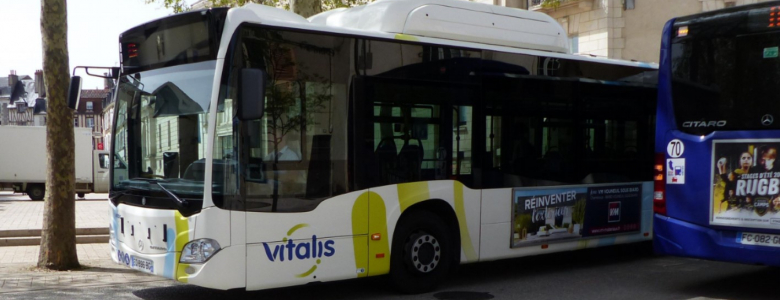 bus info